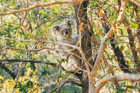 Radical Bay Track - Accommodation China 2