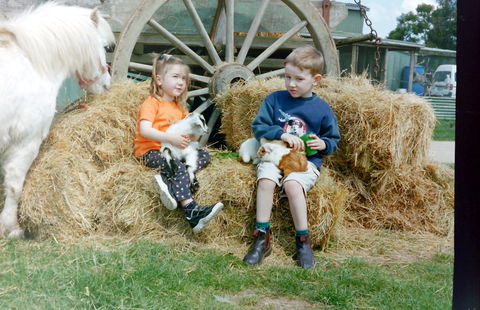 Rain Hayne And Shine Farmyard - Accommodation China 0