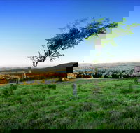 Ravensbourne - Accommodation China