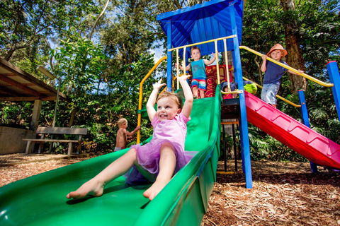 Reflections Boambee Creek Reserve - Accommodation Guide 1