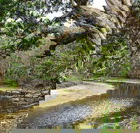 Saltwater National Park - Accommodation Guide