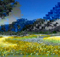 Shearer's Way - Accommodation Asia