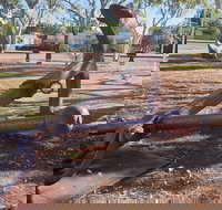 SS Colac - Accommodation Guide