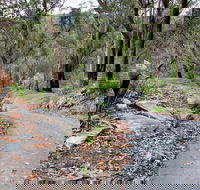 Stepping Stone Crossing to Cascades Trail