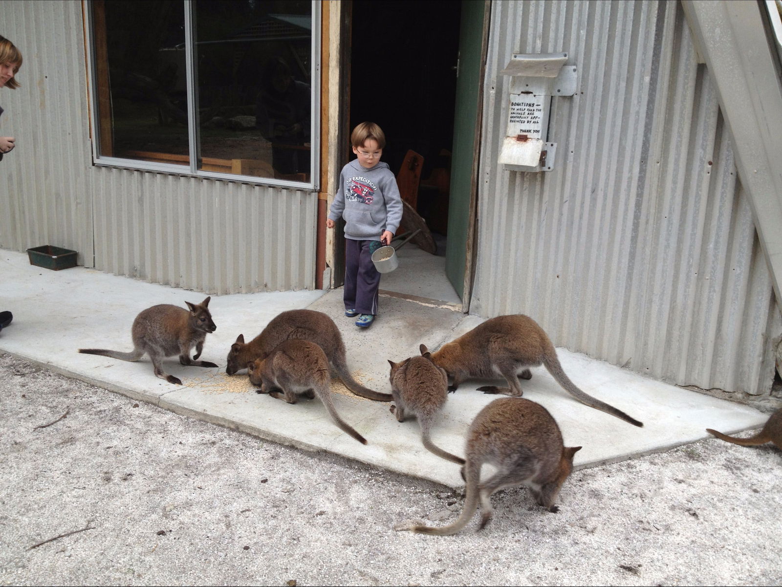 Bass Strait Islands TAS Accommodation Guide