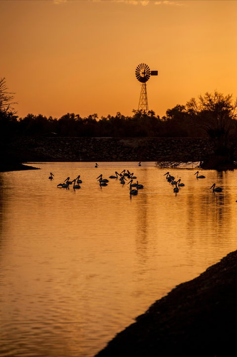 Thomson River, Longreach - Accommodation Asia 2