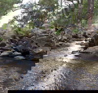 Threlfall Walking Track - Accommodation Asia