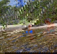 Tjaynera Falls Sandy Creek - Accommodation Guide