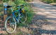 Walter Hood Ride From Cudmirrah - thumb 0