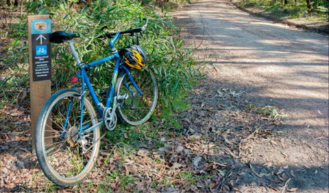 Walter Hood Ride From Cudmirrah - Accommodation Asia 0