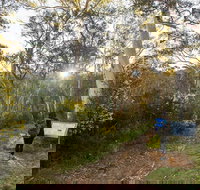 Yarrangobilly Caves  River walk - Accommodation China