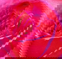 Abandon Stress Mobile Massage - Accommodation China