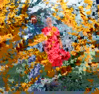 A Changing Australia The Time of Gough Whitlam