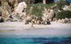 Australian Sea Lions - thumb 0