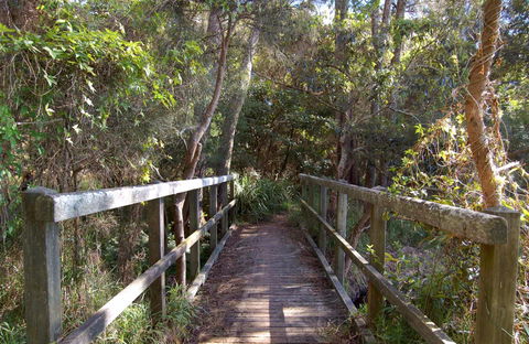 Awaba Bay Foreshore Walk - Accommodation Asia 0