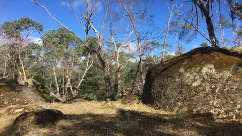 Bailey's Rocks - Dergholm State Park - Accommodation Guide 0