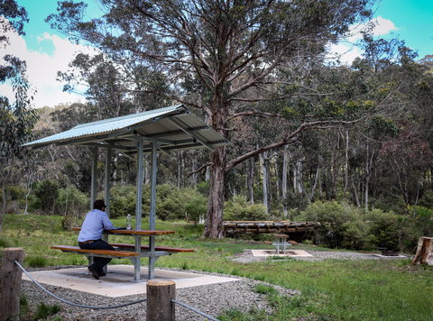 Barrington Tops State Forest - Accommodation Guide 0