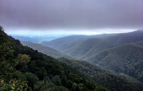 Barrington Tops State Forest - Accommodation Guide 2
