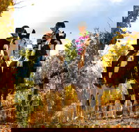 Billabong Ranch Adventure Park - Accommodation Guide