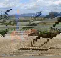 Boggy Creek Show - Accommodation China