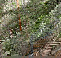 Caleys Lookout Track - Accommodation Asia