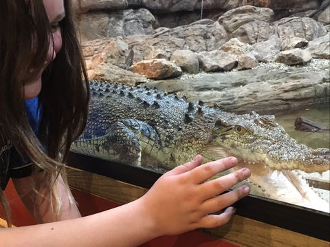 Canberra Reptile Zoo - Accommodation Asia 0