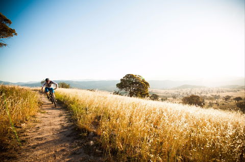 Canberra Centenary Trail - Accommodation Asia 0