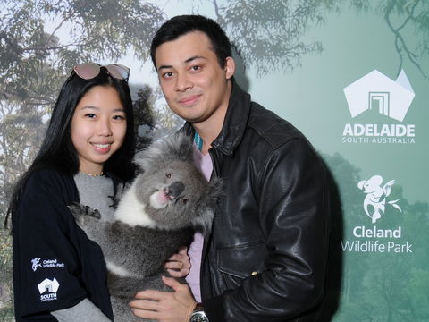 Cleland Wildlife Park - Koala Hold - Accommodation Asia 0