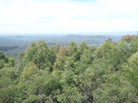 Collombatti Lookout - Accommodation Asia 0