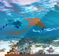 Coral Bay - Accommodation Asia