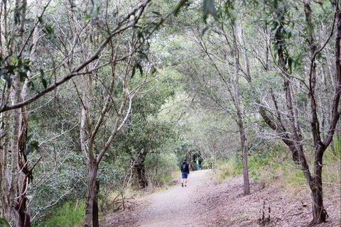 D'Aguilar National Park - Accommodation Asia 2