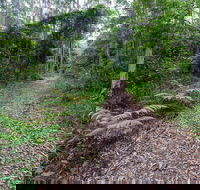 Double Wharf Trail - Accommodation Guide