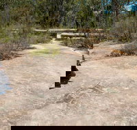 Finchley Cultural Walk - Accommodation Asia