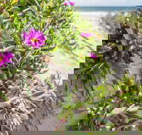 Fort Bribie - Accommodation China