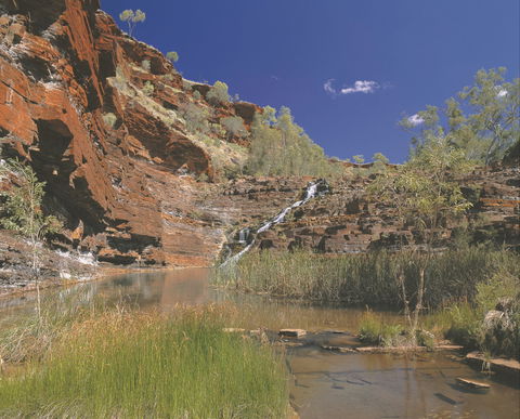 Fortescue Falls - Accommodation Asia 1