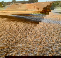 Gunning Golf Club - Accommodation Asia