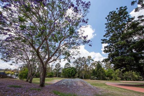John Scott Park - Accommodation Asia 0