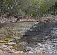 Lake Rowallan - Accommodation Guide