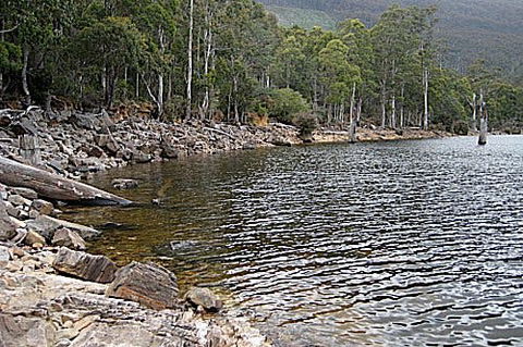 Lake Rowallan - Accommodation China 1