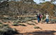 Mallee Stop Walking Track - thumb 0