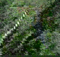 Mapleton Falls National Park - Accommodation Asia