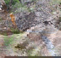 Mill-bullah Walking Track - Accommodation Asia