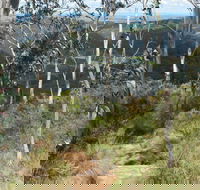 Mount Towac Walk - Accommodation Asia