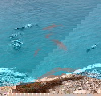 Nullarbor National Park - Accommodation Guide