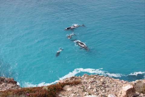 Nullarbor National Park - Accommodation Asia 0