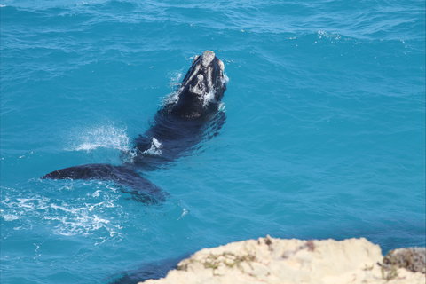 Nullarbor National Park - Accommodation Asia 2