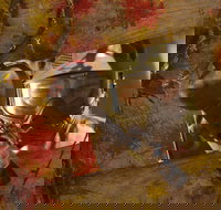 Paintball Sports - Accommodation Asia