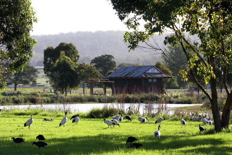 Panboola Wetlands - Accommodation Asia 1