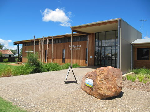 Pilliga Forest - Accommodation China 2