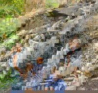 Queens Park Waterfall - Accommodation Asia